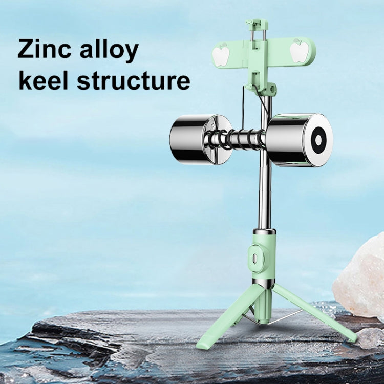 LBNIFTYBluetooth Remote Control Dual Fill Light Tripod Selfie Stick